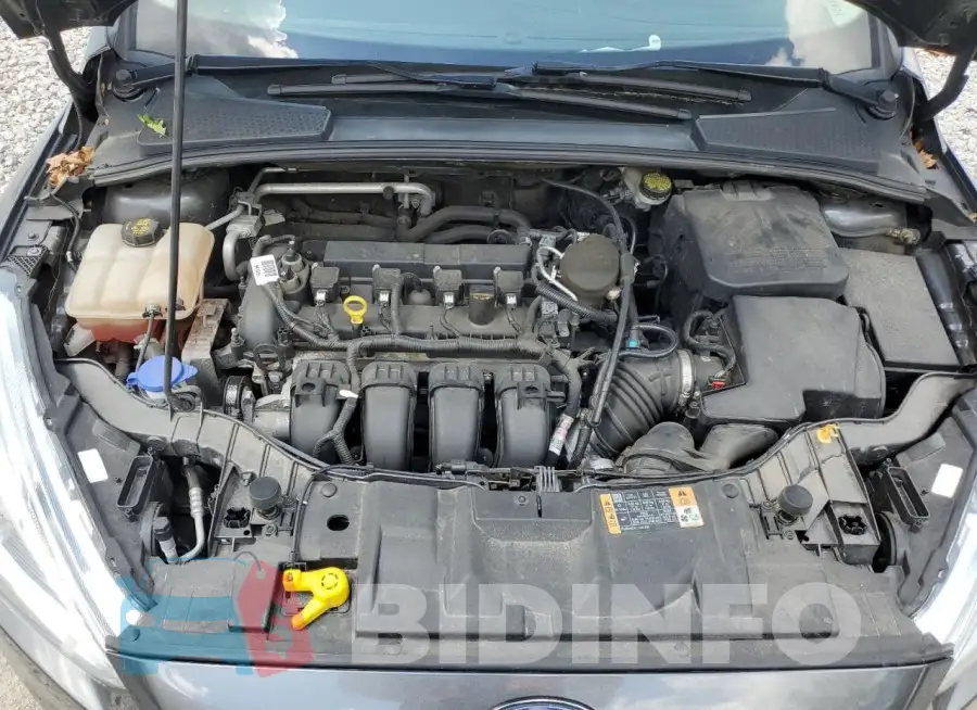 1FADP3J25FL229253 Photo# 11
