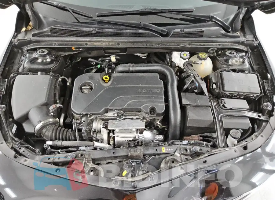 1G1ZD5ST5PF236725 Photo# 11