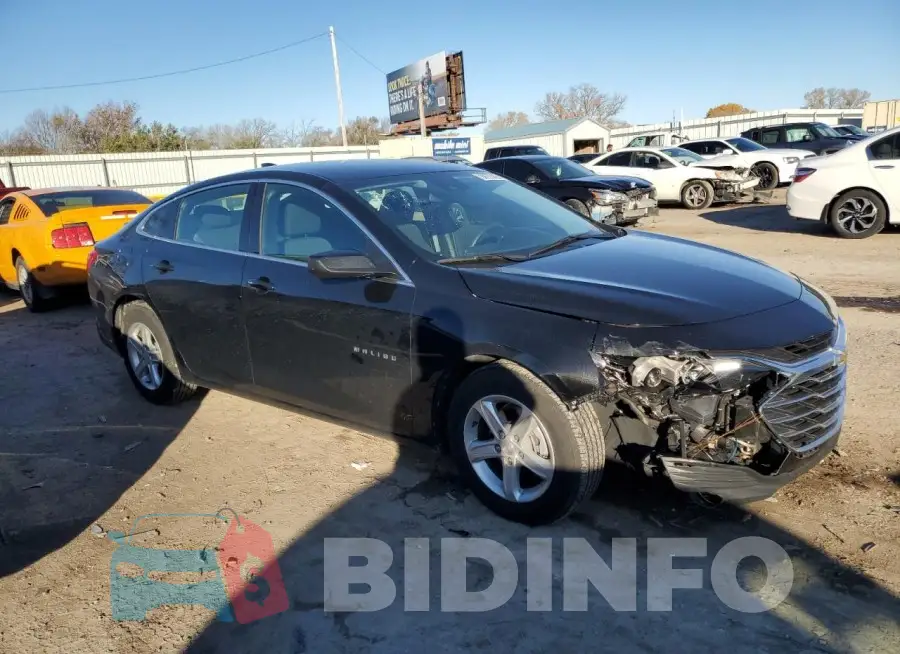1G1ZD5ST8RF167256 Photo# 4