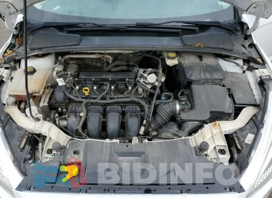 1FADP3F23HL212771 Photo# 11