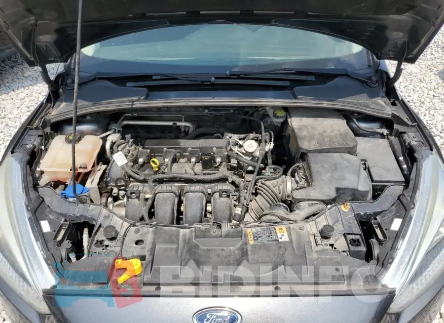1FADP3F26GL398806 Photo# 11