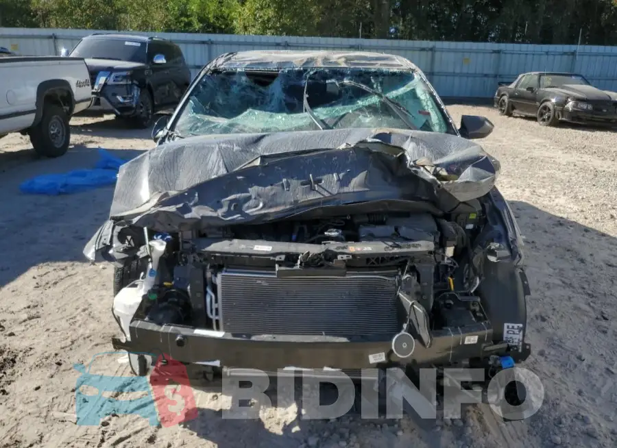 KMHLM4DGXRU712176 Photo# 5