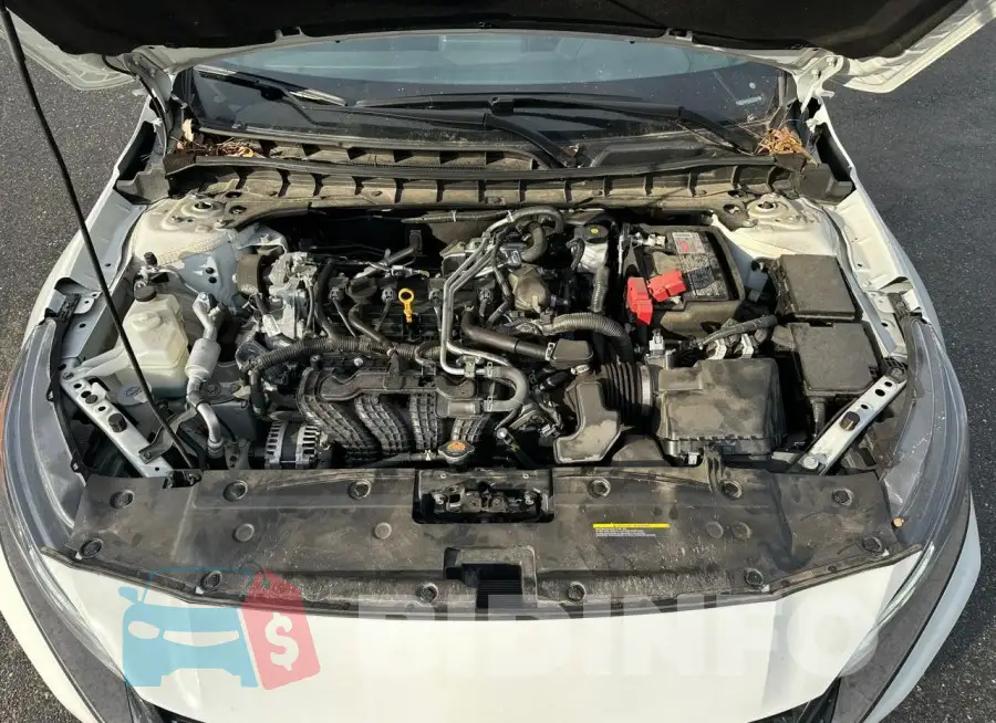 1N4BL4CV4PN355013 Photo# 5