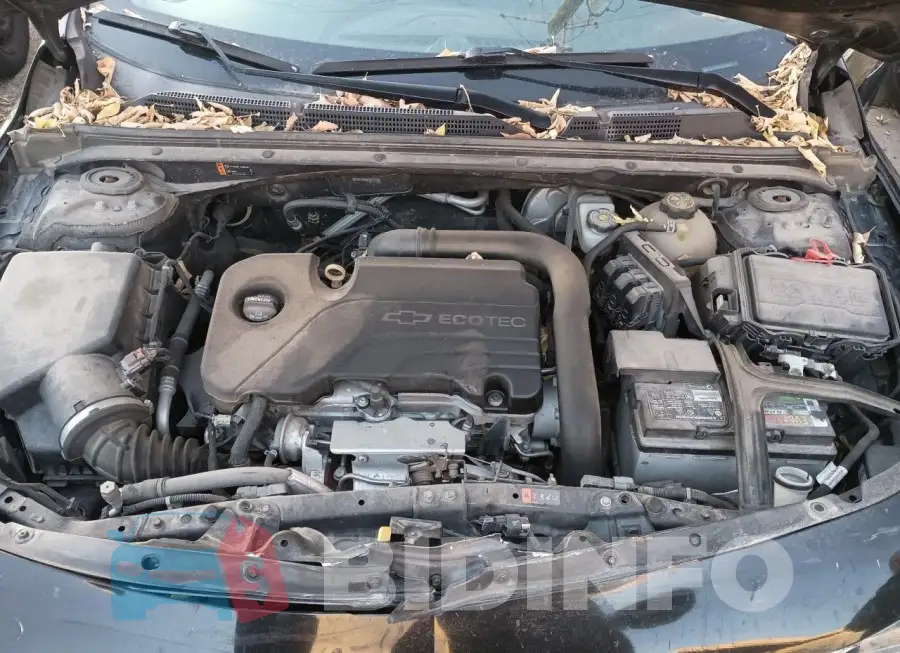 1G1ZE5ST8HF181315 Photo# 7