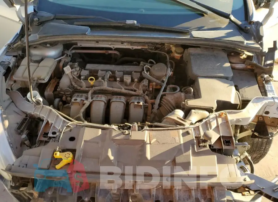 1FADP3E24GL230521 Photo# 11