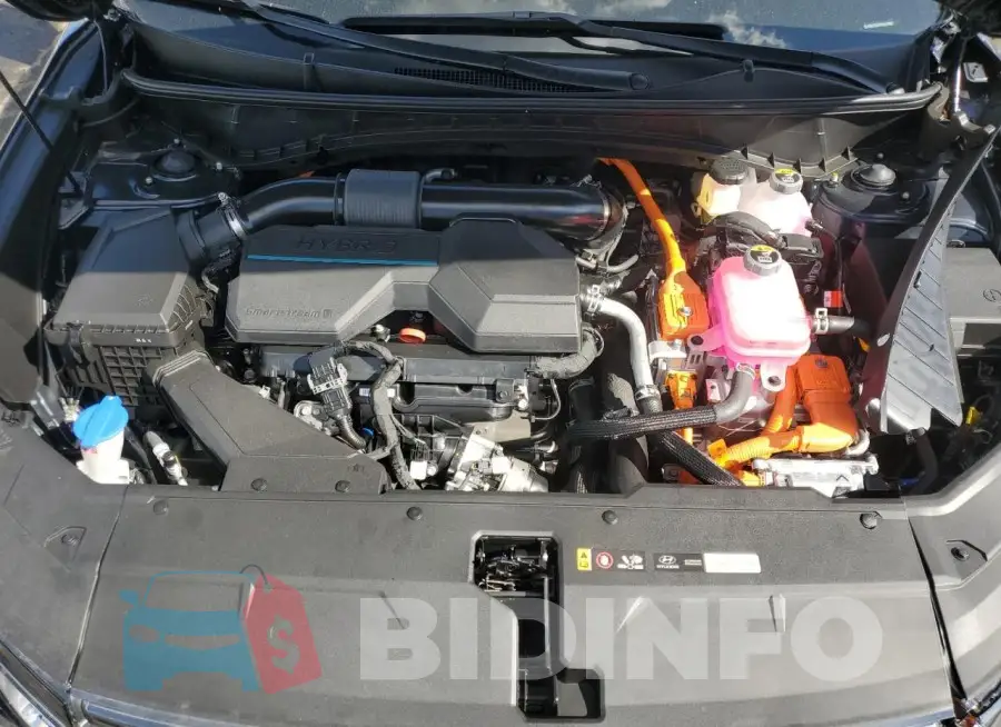 KM8JECD16RU229889 Photo# 12
