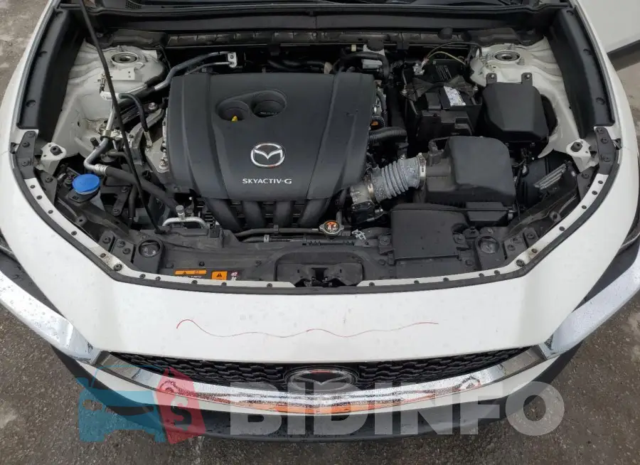 3MVDMBDL5MM306182 Photo# 12