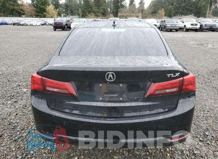 19UUB2F35FA024002 Photo# 6