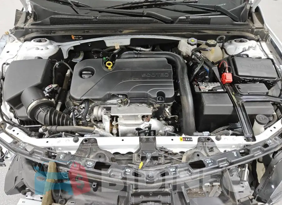 1G1ZD5ST1PF160338 Photo# 11