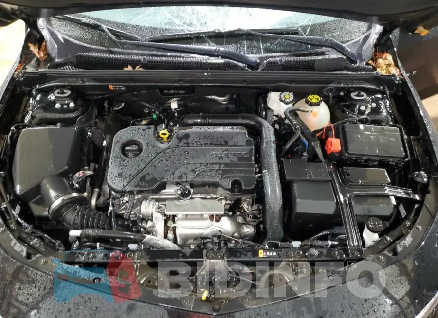 1G1ZD5ST1RF108808 Photo# 11