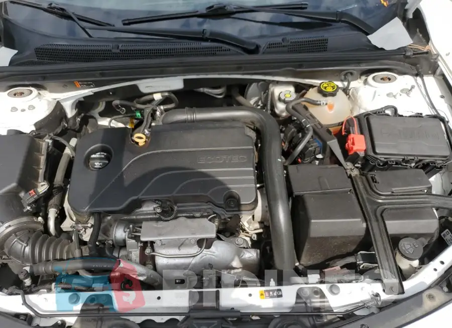 1G1ZD5ST3KF160043 Photo# 11