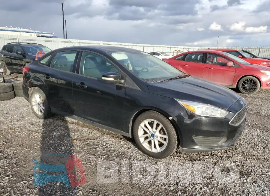 1FADP3F21GL316612 Photo# 4