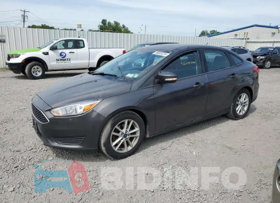 1FADP3F2XHL213934 Photo# 1