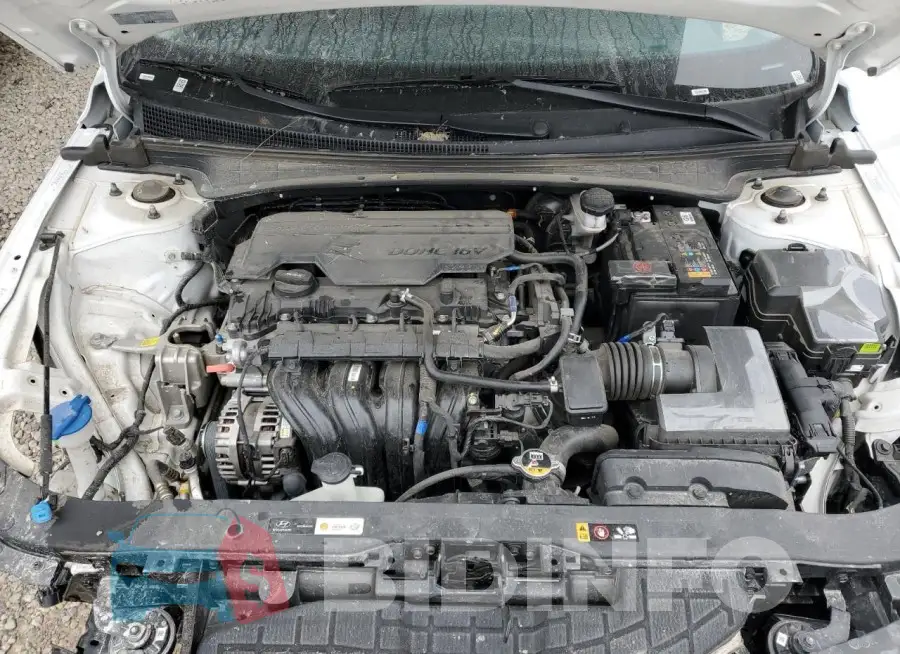 KMHLM4DG9RU677632 Photo# 11