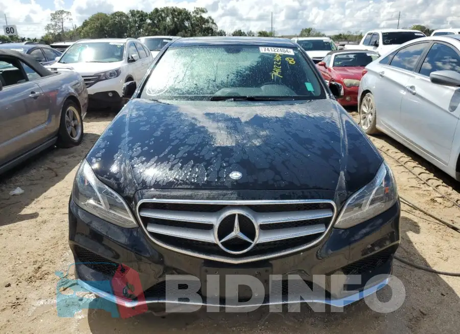 WDDHF8JB0GB195151 Photo# 5