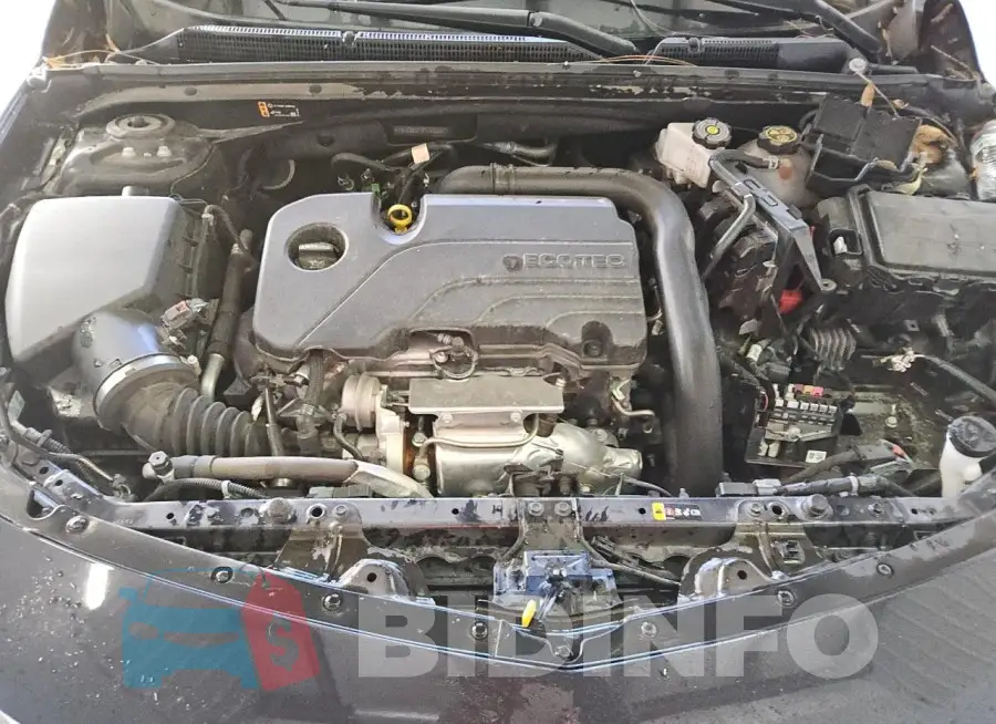 1G1ZD5ST3PF232267 Photo# 11