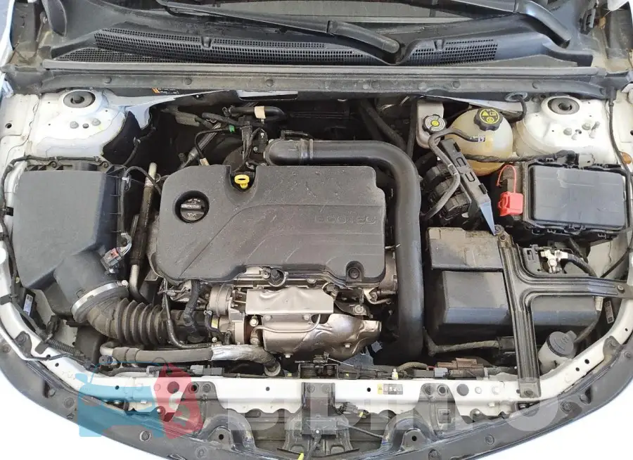 1G1ZD5ST7NF184723 Photo# 11