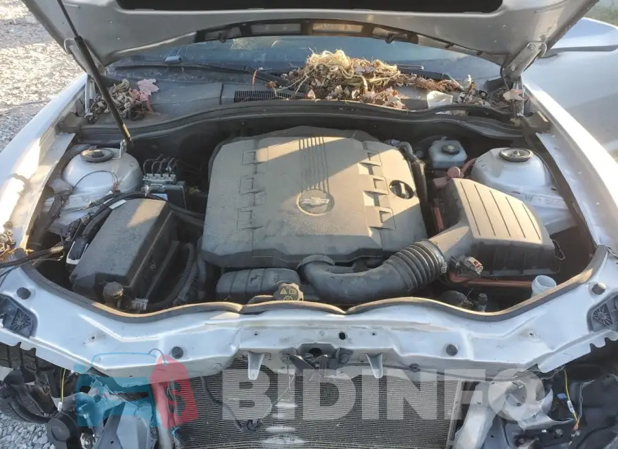 2G1FB1E36F9308584 Photo# 11