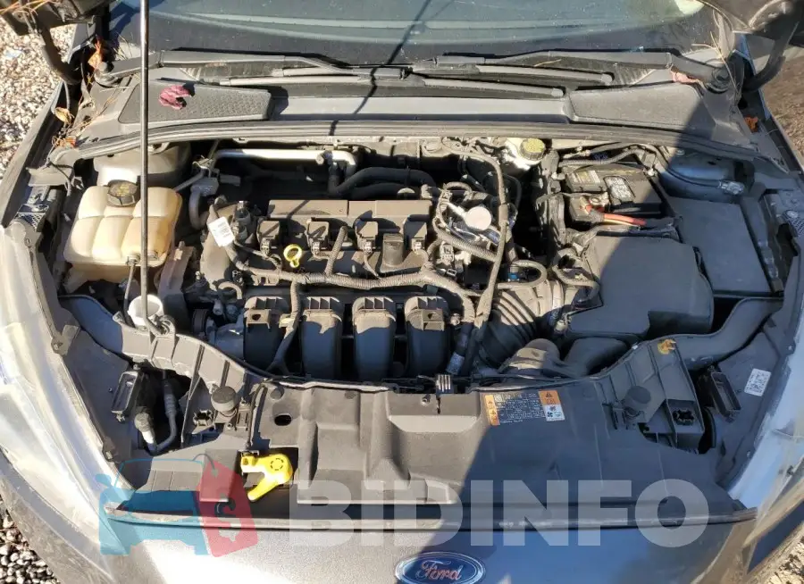 1FADP3E23GL360421 Photo# 11