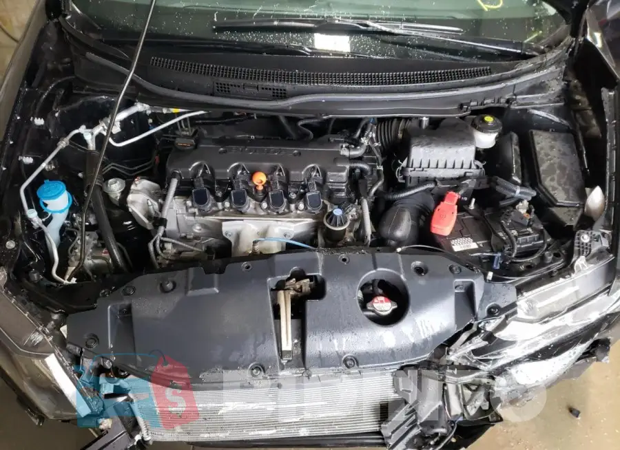 19XFB2F53FE003803 Photo# 11