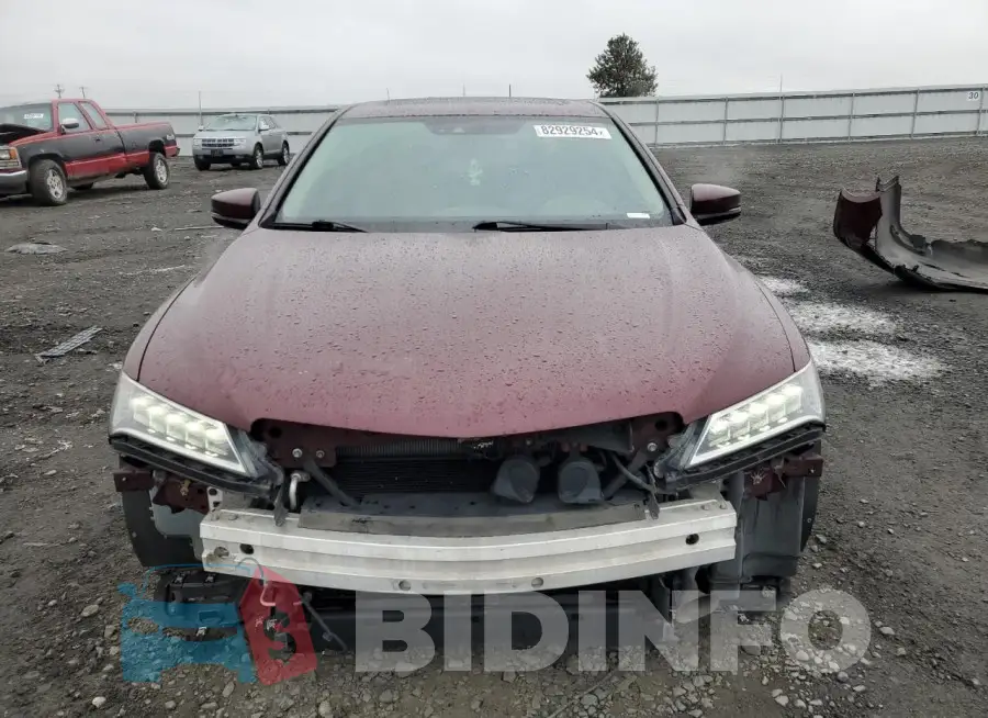 19UUB2F53FA004560 Photo# 5
