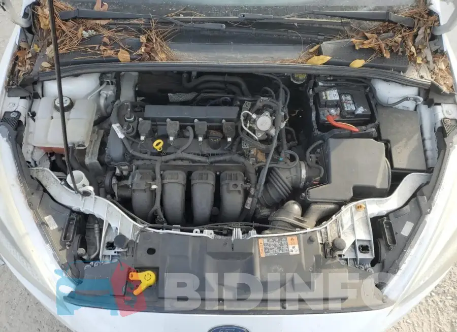 1FADP3E24GL335687 Photo# 11