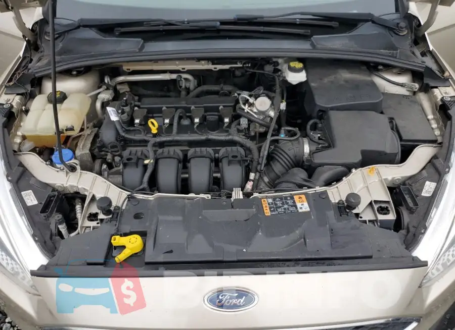 1FADP3F24JL206211 Photo# 11