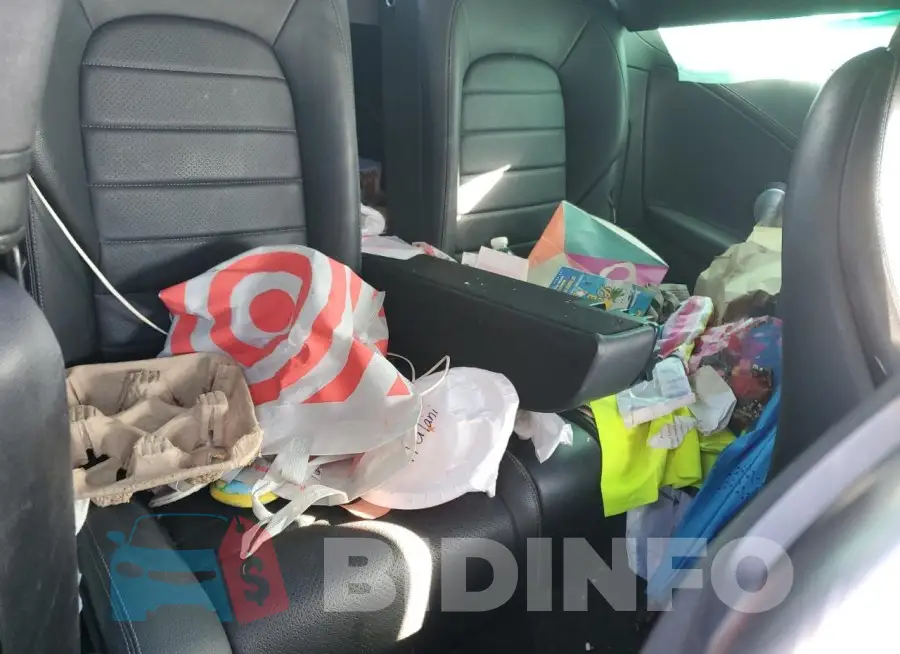 WDDWJ4KB7HF381521 Photo# 10