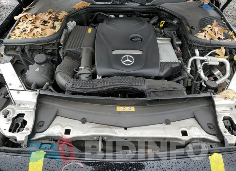 WDDZF4KB2KA679042 Photo# 11