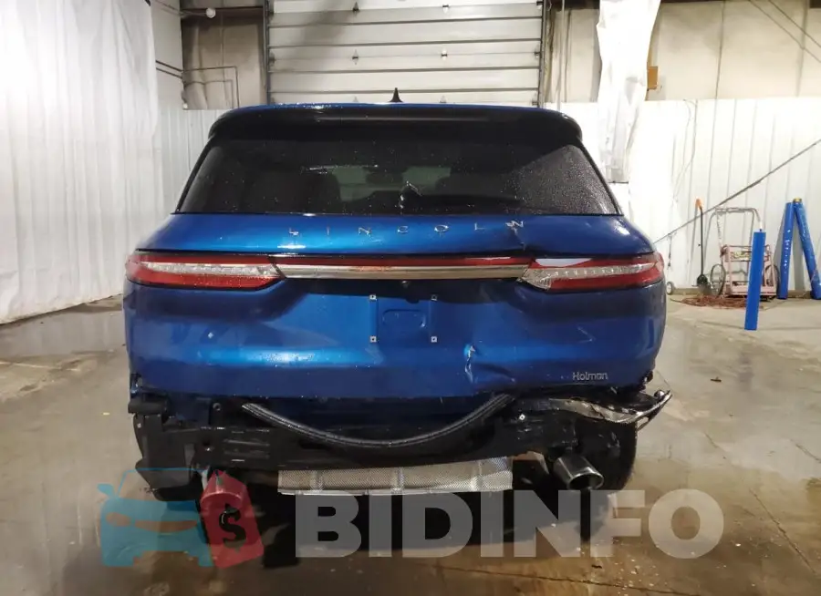 5LMCJ1D96LUL19689 Photo# 6