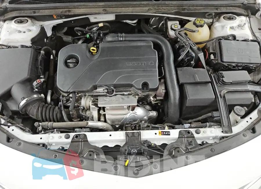 1G1ZD5ST1NF181204 Photo# 11