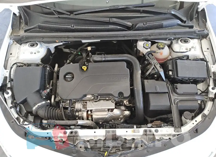 1G1ZD5ST1PF250198 Photo# 11