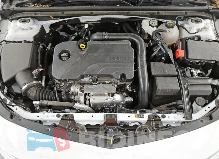 1G1ZD5ST8RF236480 Photo# 11