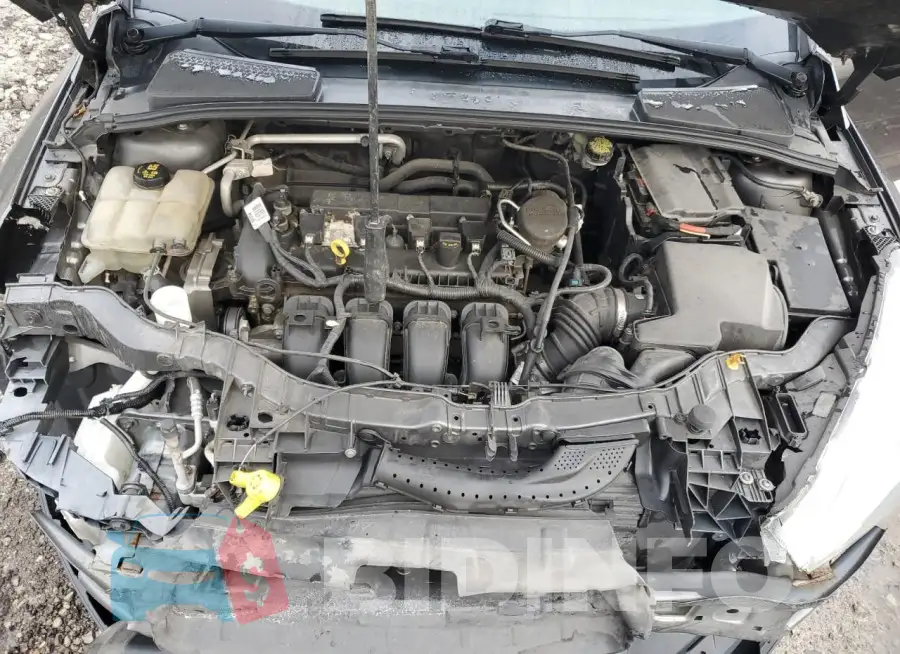 1FADP3F26GL237372 Photo# 11