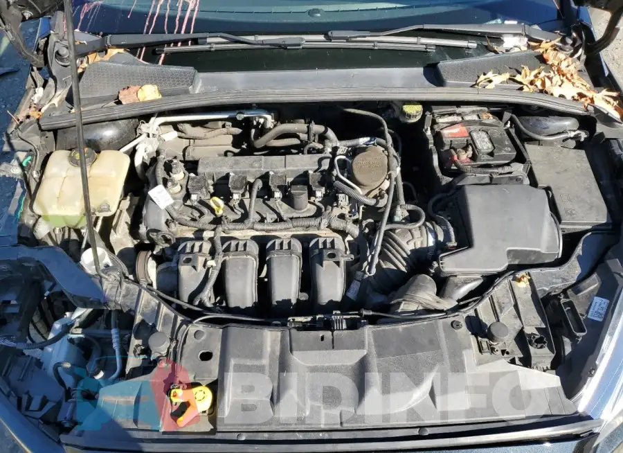 1FADP3F29FL297662 Photo# 11