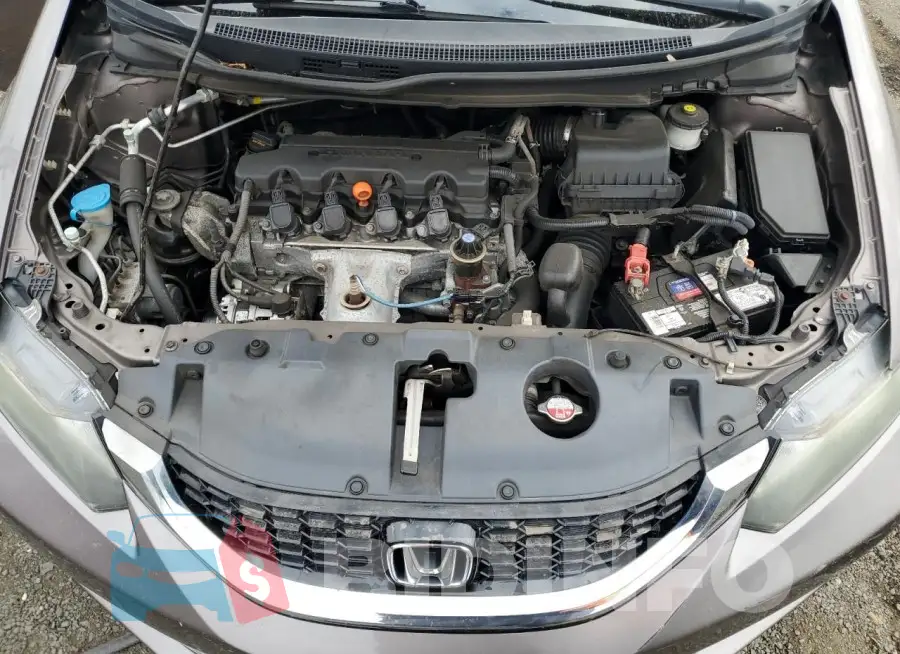 19XFB2F81FE201919 Photo# 11