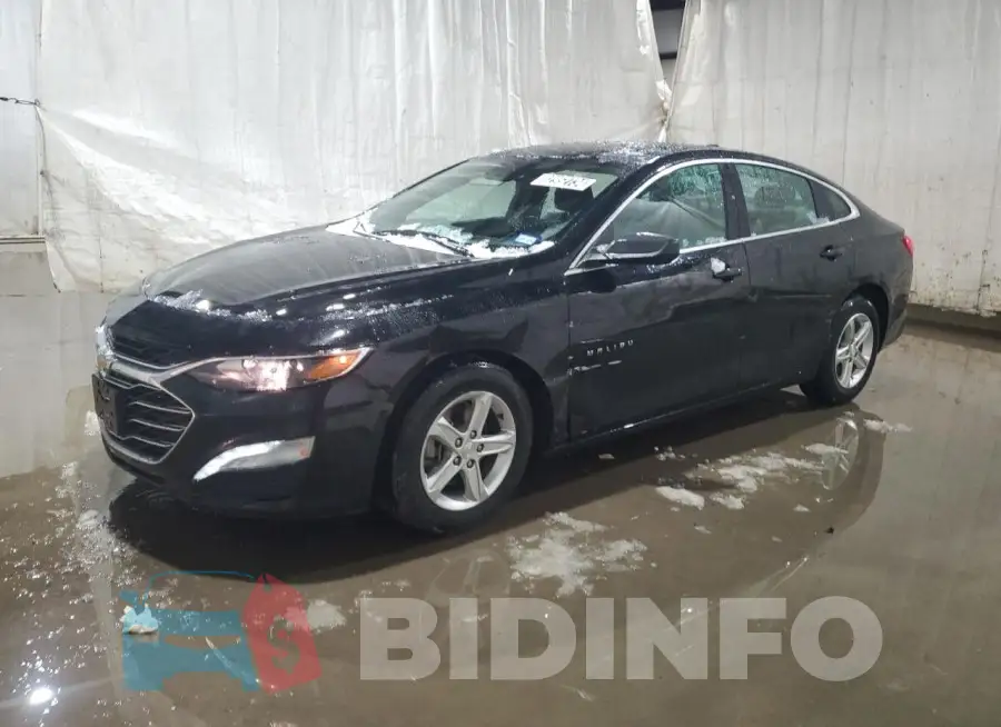 1G1ZD5ST8PF193384 Photo# 1