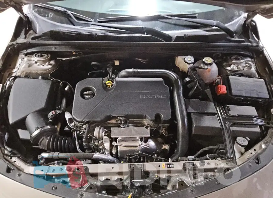 1G1ZD5ST9RF168156 Photo# 11
