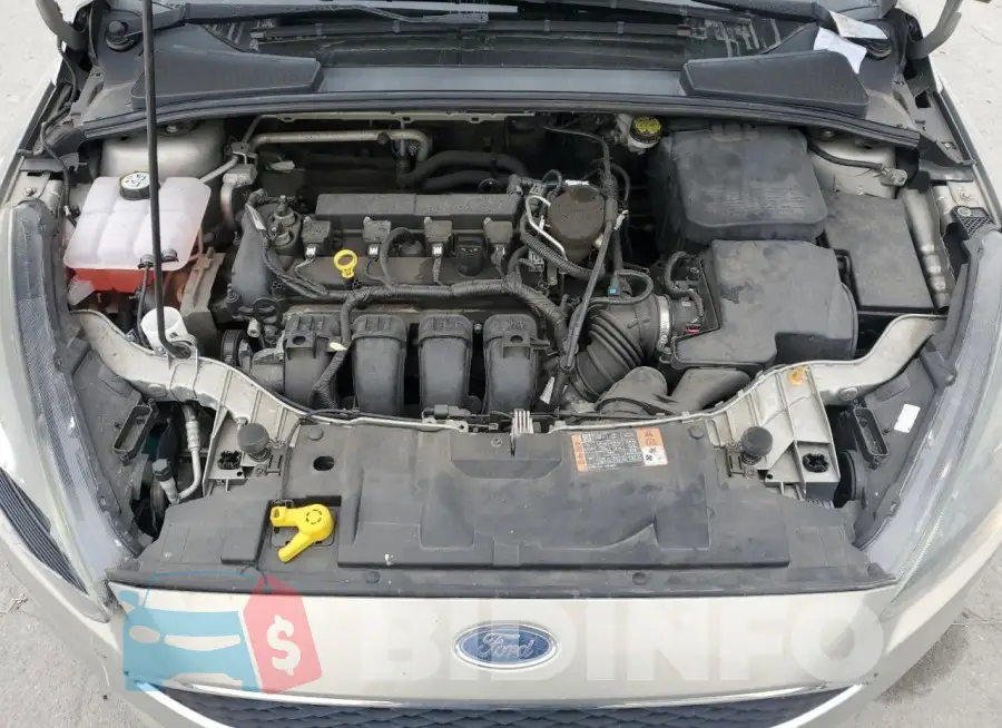 1FADP3F26GL232320 Photo# 11