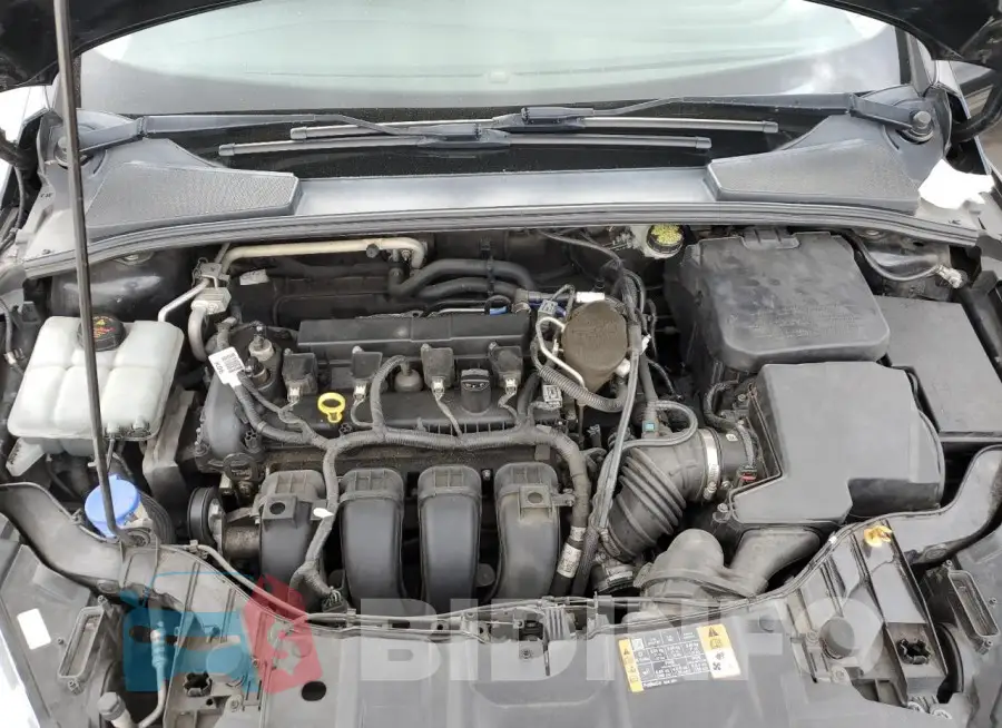 1FADP3F2XGL282914 Photo# 11