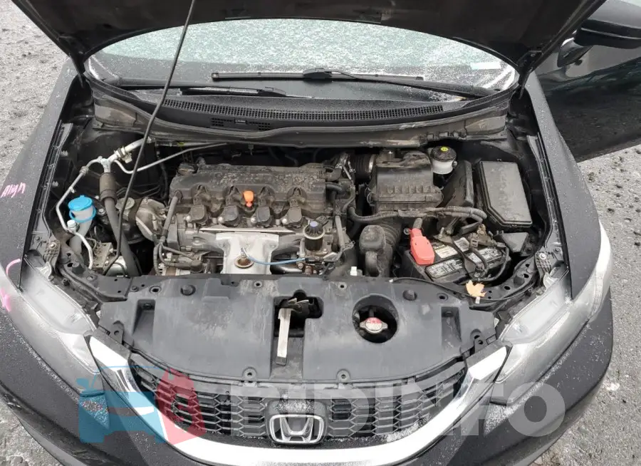 19XFB2F85FE252808 Photo# 11