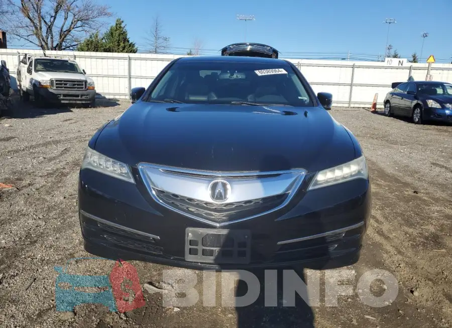 19UUB1F31FA012388 Photo# 5