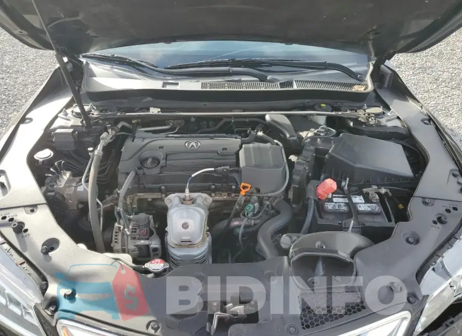 19UUB1F37GA000294 Photo# 11