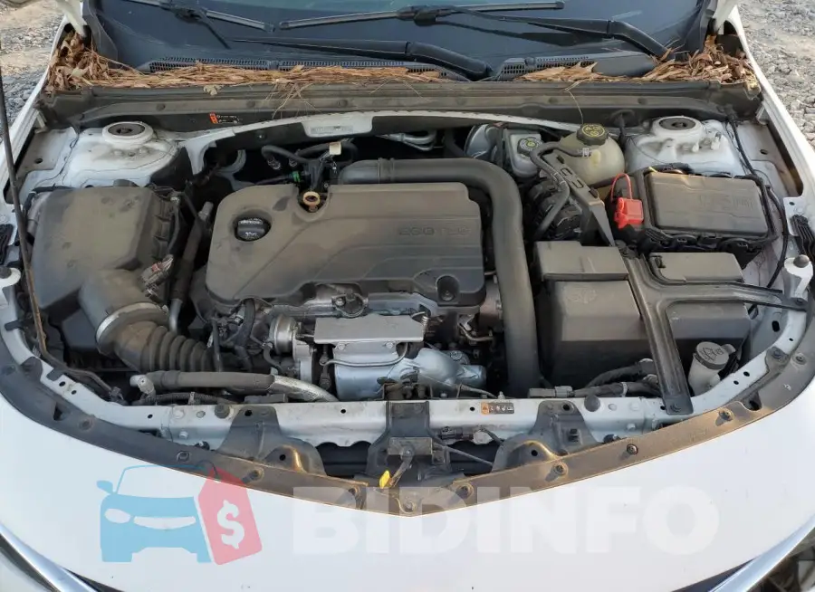 1G1ZD5ST6KF118708 Photo# 11