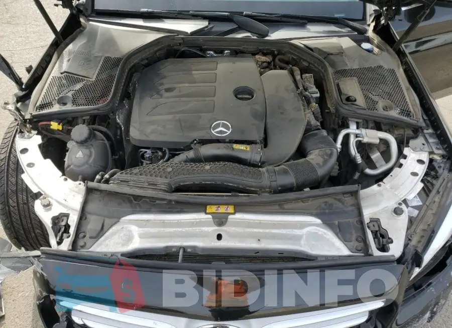 WDDWF8DB1LR531989 Photo# 11