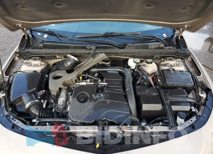 1G1ZD5ST9PF175508 Photo# 11