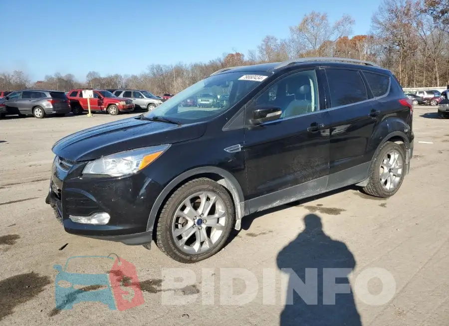1FMCU0JX4GUB55033 Photo# 1