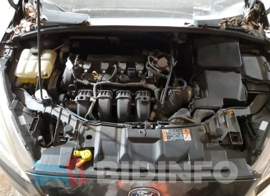 1FADP3F29GL355044 Photo# 11