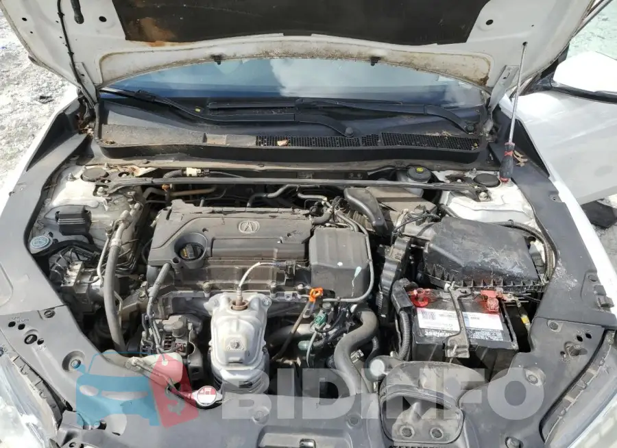 19UUB1F31FA019163 Photo# 11