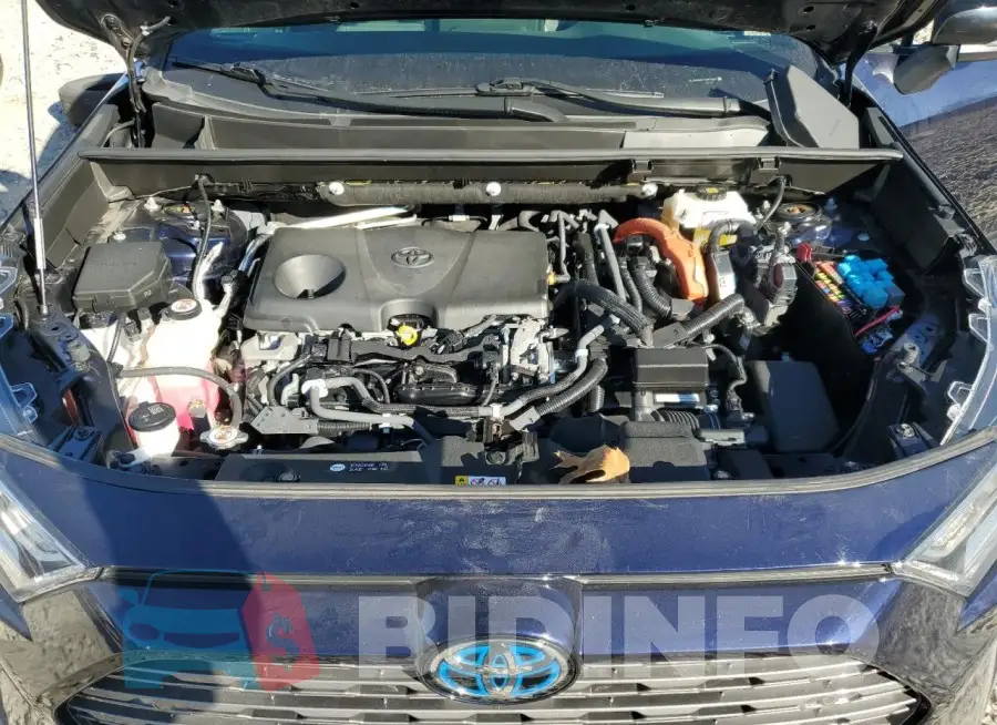 JTMEWRFV1KD517847 Photo# 12